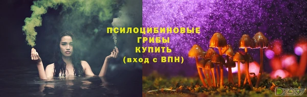 spice Верхний Тагил