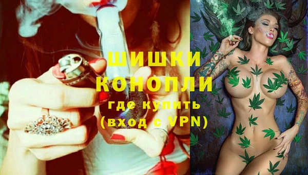 spice Верхний Тагил