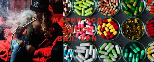 PSILOCYBIN Щучье